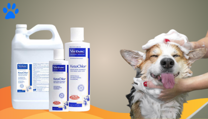 Ketochlor Shampoo