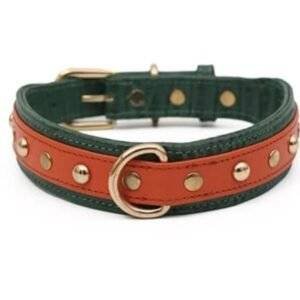 Pampaw Leather Pongo Collars