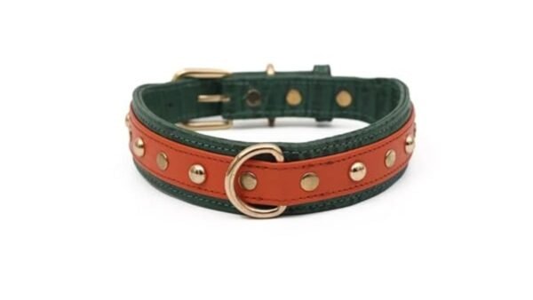 Pampaw Leather Pongo Collars